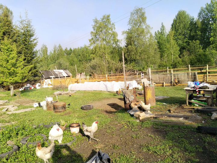 Участок 25 сот. (СНТ, ДНП)