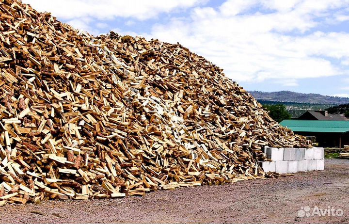 Дрова осина