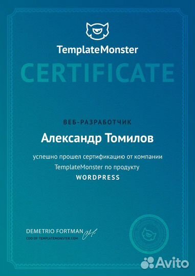 Создание сайтов I Яндекс Директ I сео продвижение