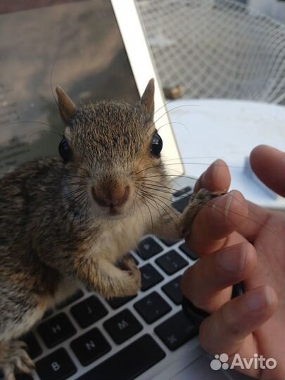 Ретушь и обработка фотографий, фотоссесия ии