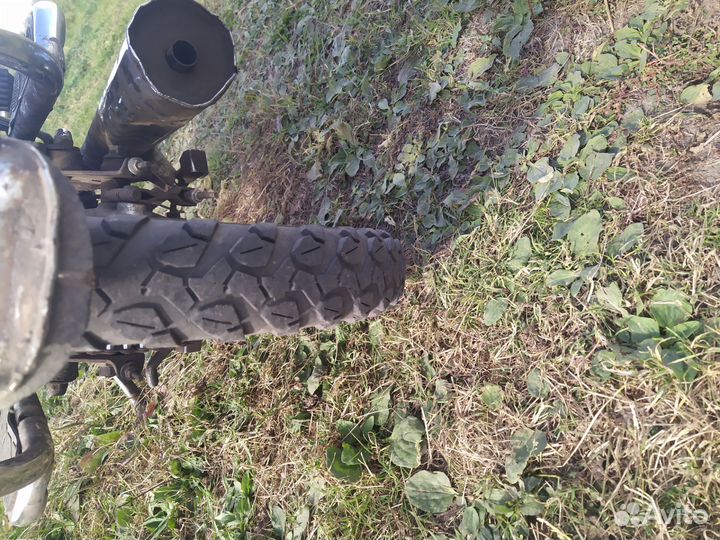 Мопед альфа pegas motors