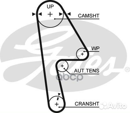 Ремень грм 5593XS Gates