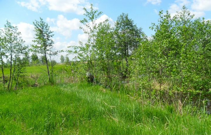 Участок 24 сот. (ИЖС)