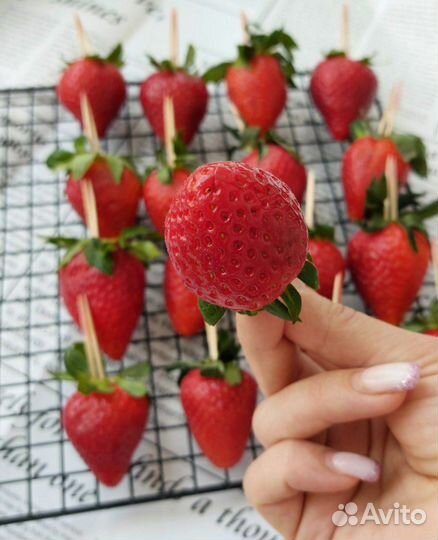 Клубника в бельгийском шоколаде