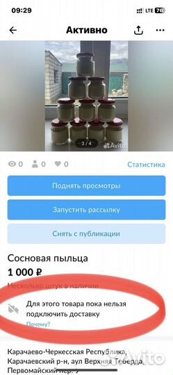 Сосновая пыльца