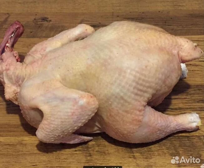 Куры бройлеры домашние