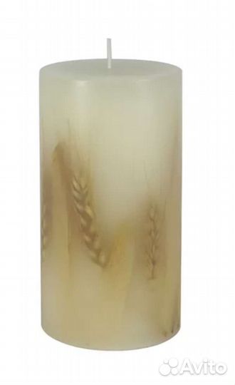 Колосья пшеницы, овса