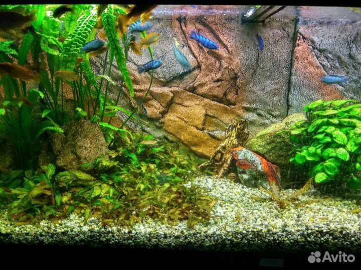 Чистка аквариума