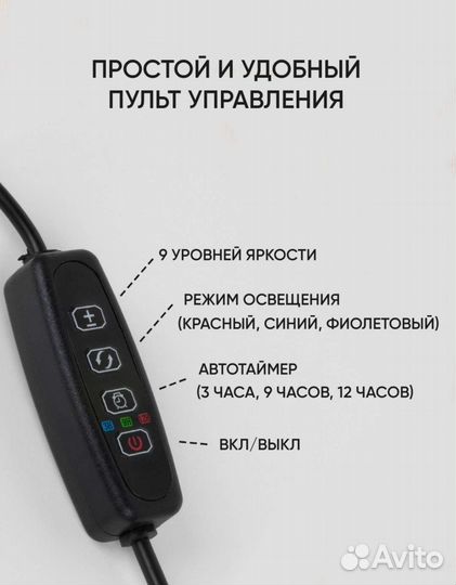 Фитолампы для растений