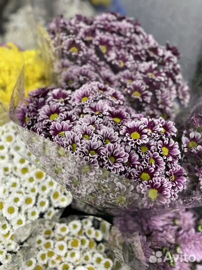 Живые цветы букеты розы