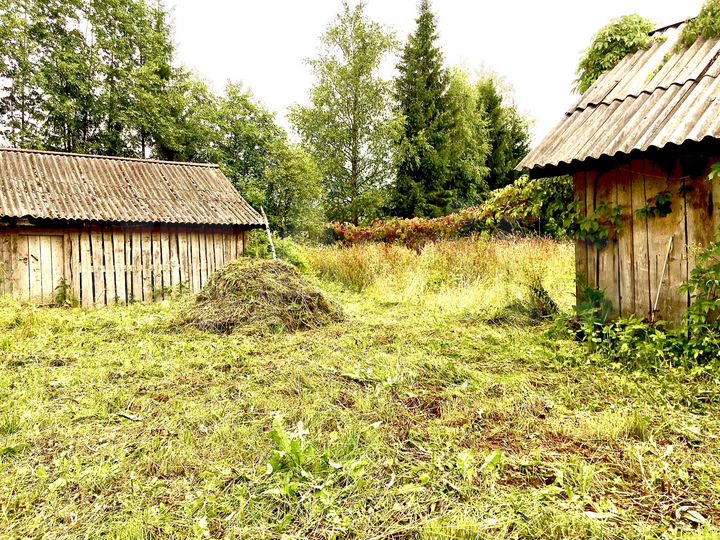 Дом 55 м² на участке 50 сот.