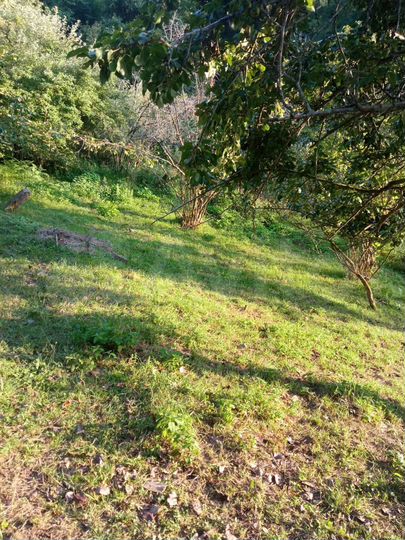 Участок 26 сот. (ИЖС)