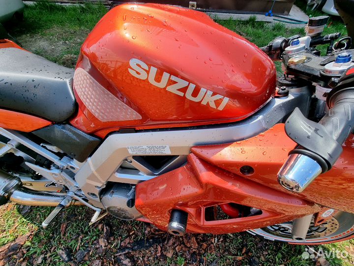Suzuki SV1000S
