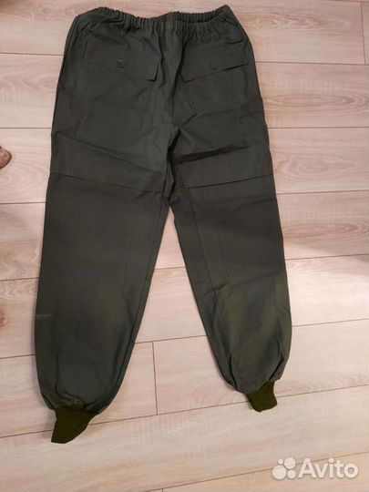 Роба инцефалитка