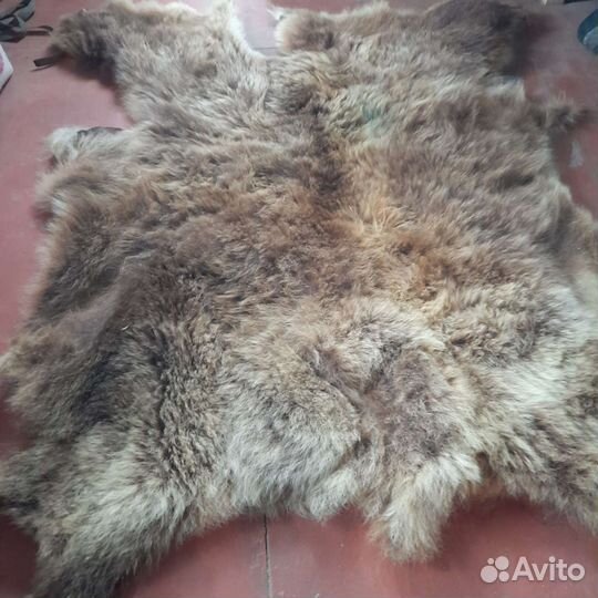 Ковер шерстяной