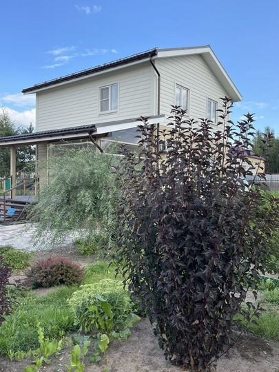 Дом 112,3 м² на участке 12,4 сот.