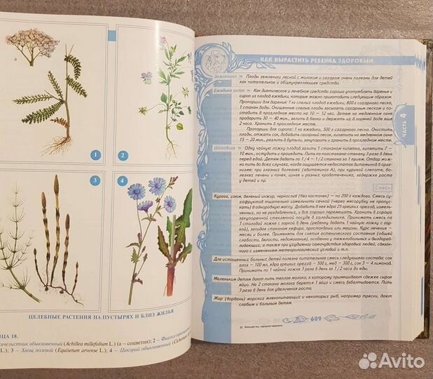 Большая энциклопедия народной медицины