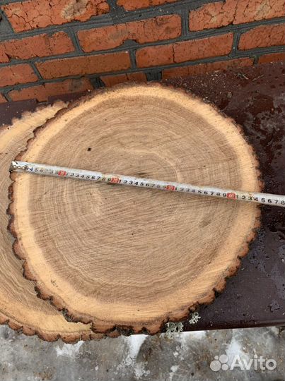Спилы Слэб торцевые дуб ясень вяз