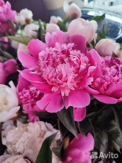 Пион букетом
