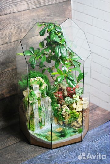 Флорариум с бонсай и водопадами