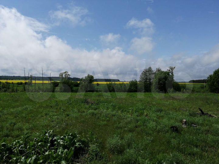 Участок 100 сот. (СНТ, ДНП)