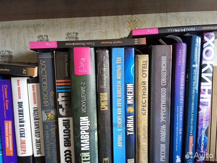 Под крылом небесного льва