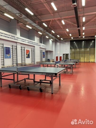 Тренер/спаринг по настольному теннису