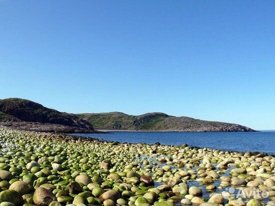 Трансфер, поездки в Териберку, область, аэропорт