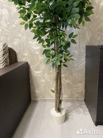 Искусственное дерево фикус