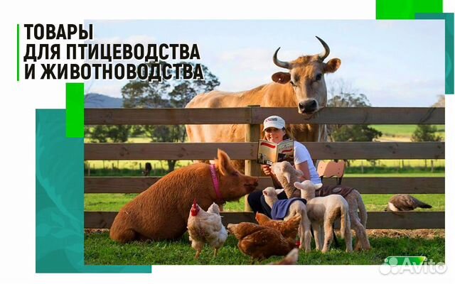 Товары для птицеводства и животноводства