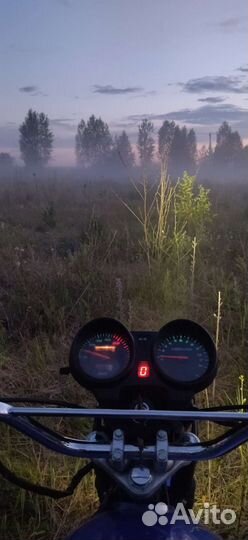 Мопед альфа 110