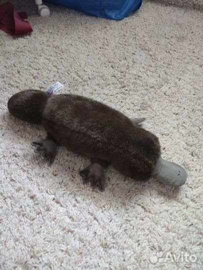 Утконос Hansa