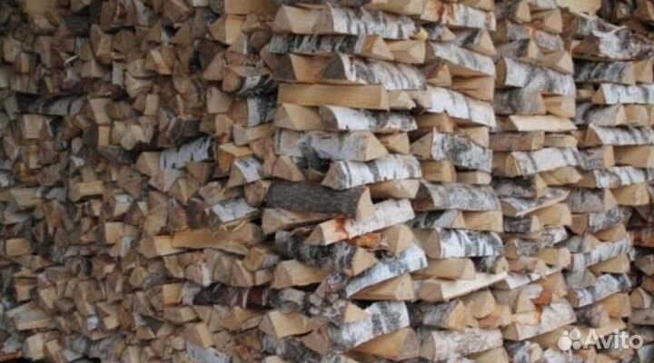 Дрова береза