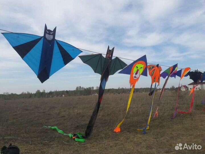 Воздушные змеи подарки