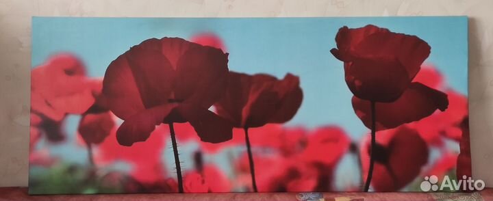 Картина Маки интерьерная