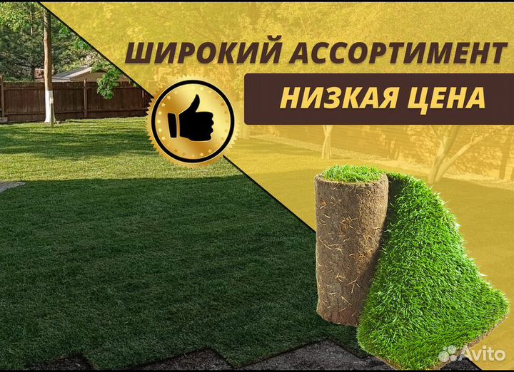Газон рулонный Элитный