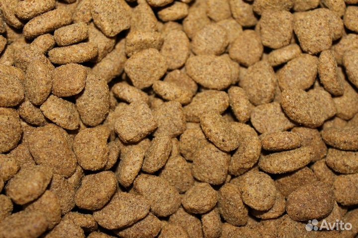 Сухой корм для больших и средних питомцев