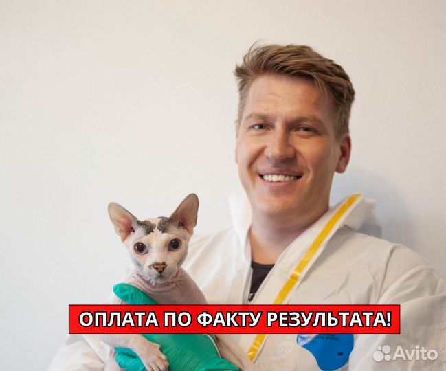 Обработка от клещей, уничтожение тараканов