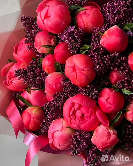 Букет пионов (Голландия)