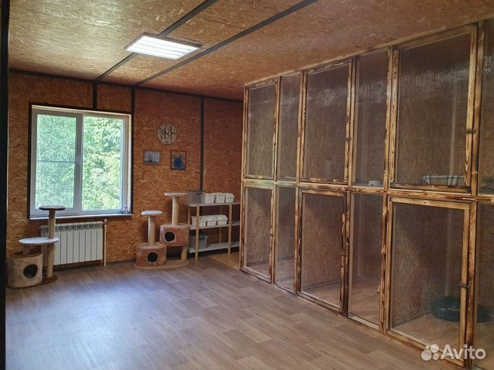 Зоогостиница 