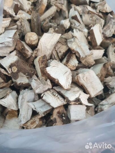 Корень подсолнуха