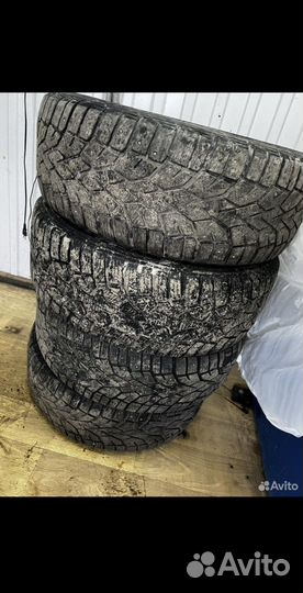 Gislaved NordFrost 100 205/55 R16