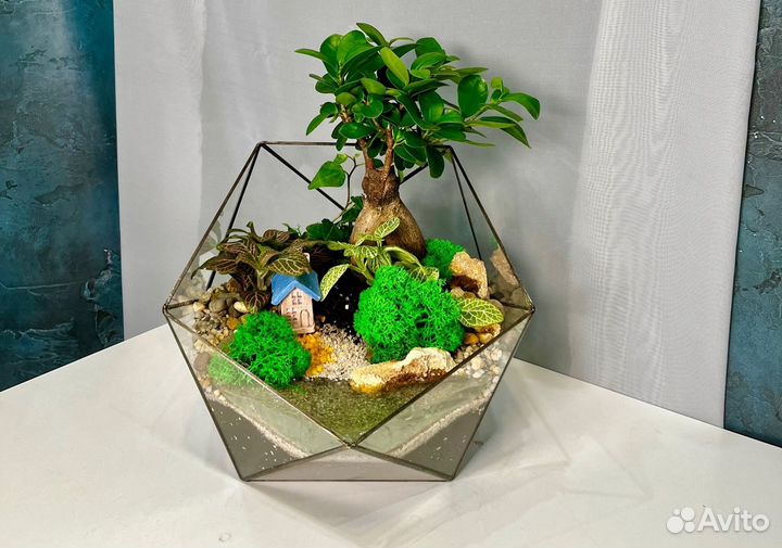 Флорариум 
