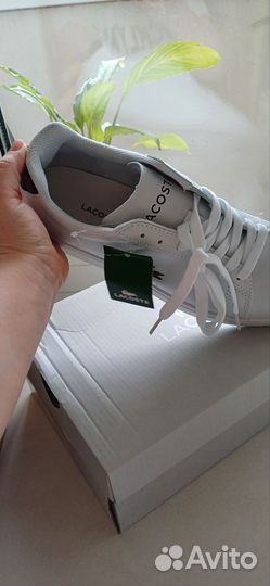 Кроссовки lacoste мужские все размеры