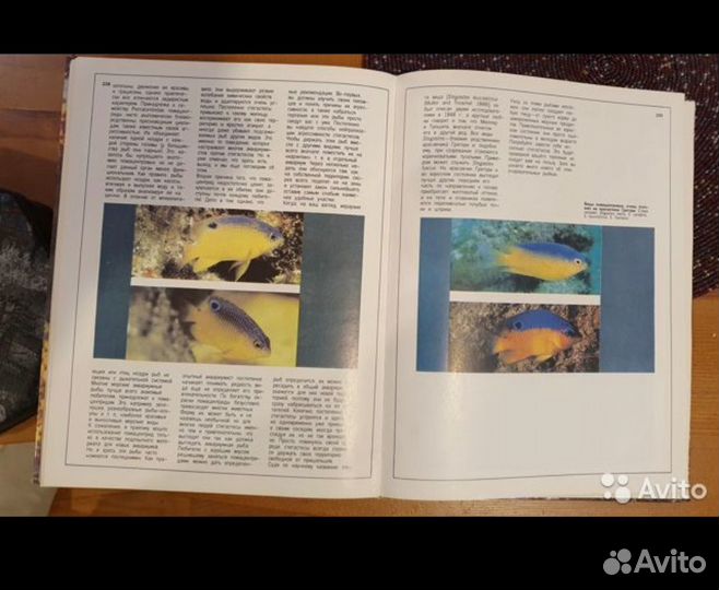 Мир тропических рыб. Аквариум