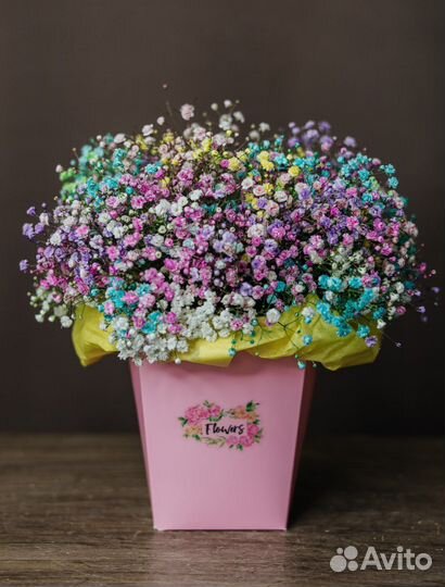 Доставка цветов. Гипсофила радужная в коробке S