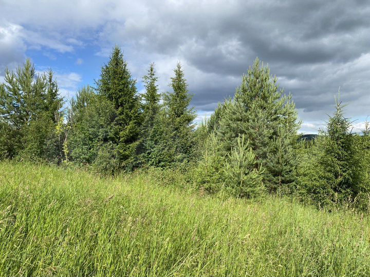 Участок 1,5 га (СНТ, ДНП)