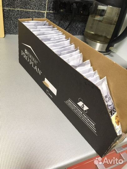 Корм для котят проплан