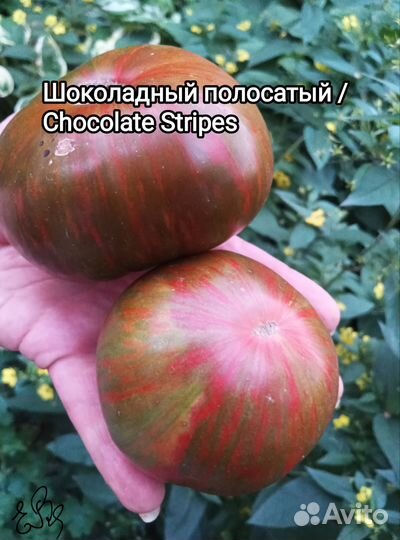 Семена томатов