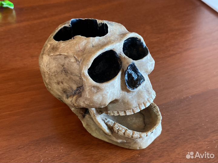 Череп под ручки/пепельница